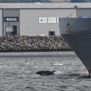 a small boat in a large body of water