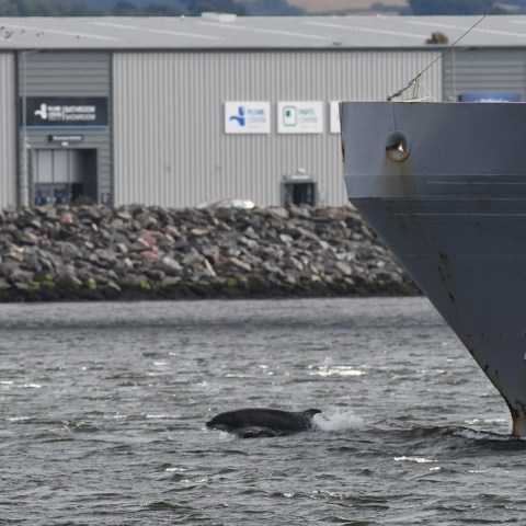 a small boat in a large body of water