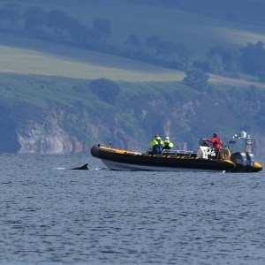 a small boat in a body of water with a mountain in the background