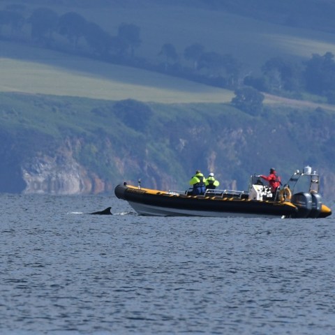 a small boat in a body of water with a mountain in the background