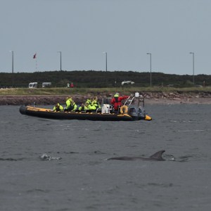 a group of people in a boat on a body of water