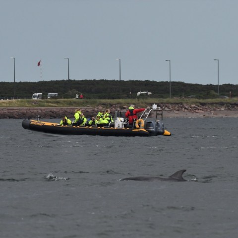 a group of people in a boat on a body of water