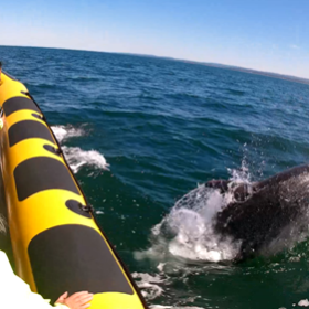 a person riding a surf board on a body of water