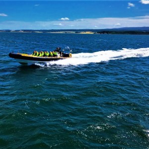 a small boat in a body of water