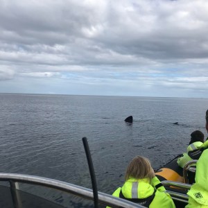 a group of people sitting at a beach