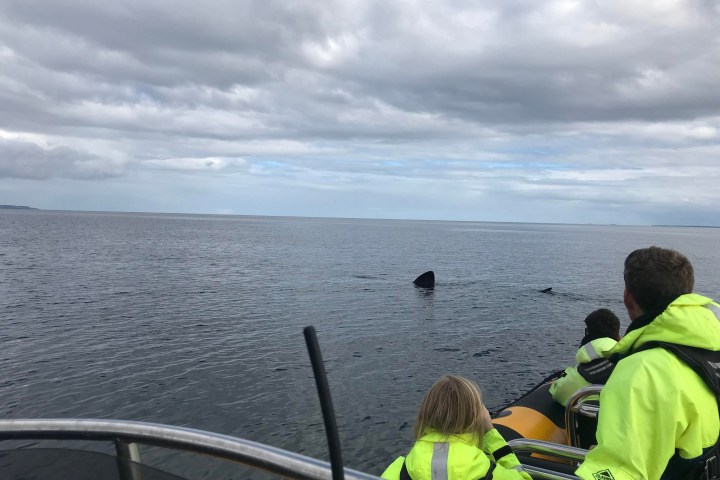 a group of people sitting at a beach