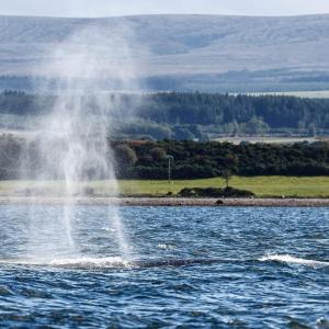 a body of water with a mountain in the background
