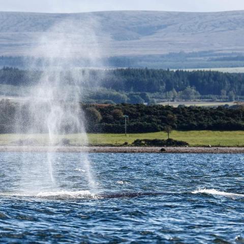 a body of water with a mountain in the background