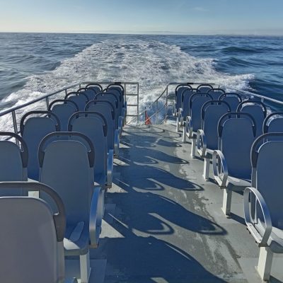 a chair next to a body of water