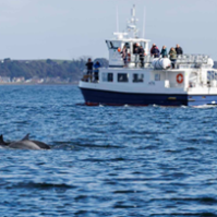 a small boat in a large body of water