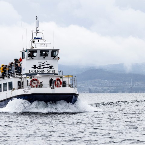 Boat named Dolphin Spirit sailing on water with hills and cloudy sky in background.
